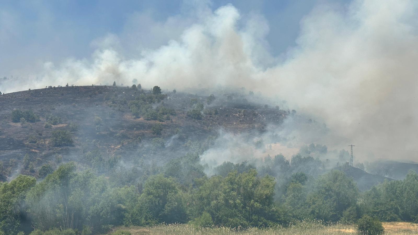 SON DAKİKA HABERİ: Elazığ’da orman yangını
