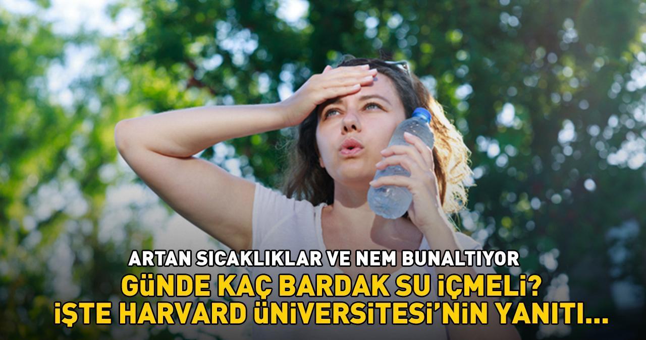 Artan sıcaklıklar ve nem bunaltıyor! 'Günde kaç bardak su içmeli?' İşte Harvard Üniversitesi'nin yanıtı...