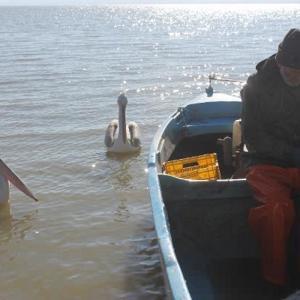 Manyas Gölü’nde av yasağı başlıyor
