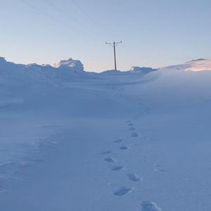 Karlıova’da kar nedeniyle kapanan 6 köy yolu ulaşıma açıldı
