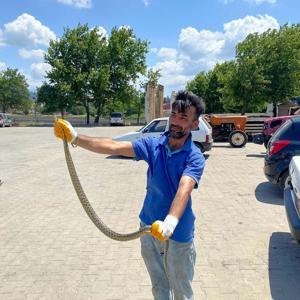 Otomobilin motorunda yakalanan yılan, doğal ortamına salındı