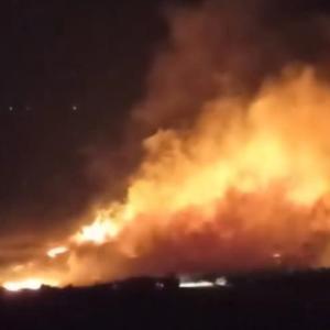 Gaziantep’te, anız yangınında 110 zeytin ağacı zarar gördü