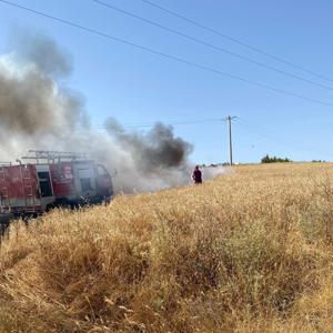 Edirne’de 20 dönüm buğday ekili alan yandı