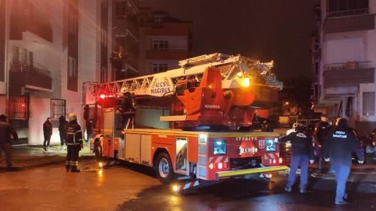 Ordu’da yangınında kafesteki kuşları için seferber oldu