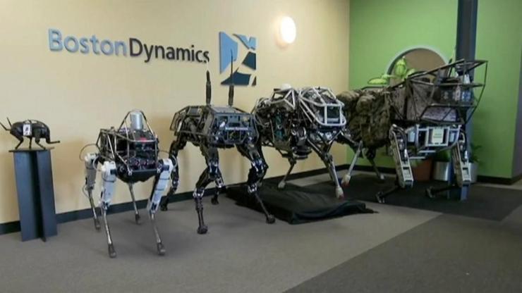 Robot köpekler ticarete atılıyor