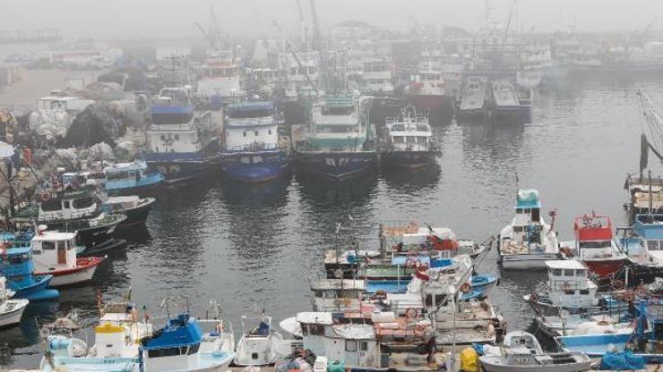 Balıkçıların mayın tedirginliği: Geceleri risk taşıyor