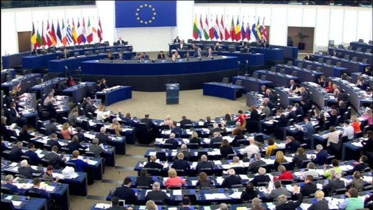 Avrupa Parlamentosu Araştırma Komitesi raporu: Rumlar veto hakkını suistimal ediyor