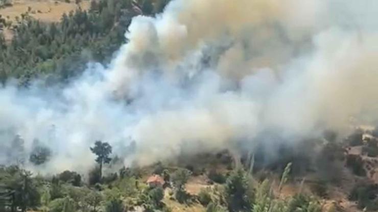 Antalyanın Kaş ilçesinde çıkan orman yangını kontrol altına alındı
