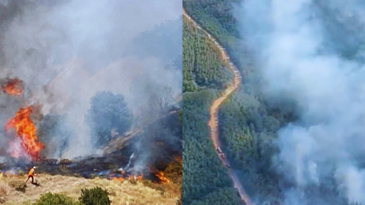Bingöl ve Edirnede orman yangınları